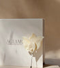 BOUTONNIERE ALHENA 2