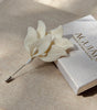 BOUTONNIERE ALHENA 2