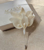 BOUTONNIERE ALHENA 2