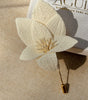 BOUTONNIERE ALHENA 4