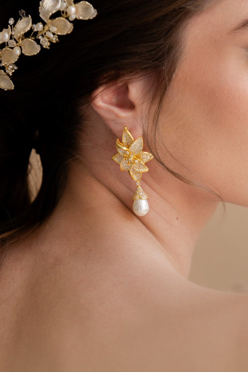 ARETES ER1650