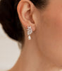 ARETES ER1961