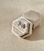 ARETES ER8308