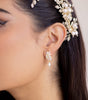 ARETES ER1961
