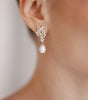 ARETES ER27