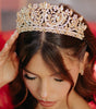 CORONA WHG1695