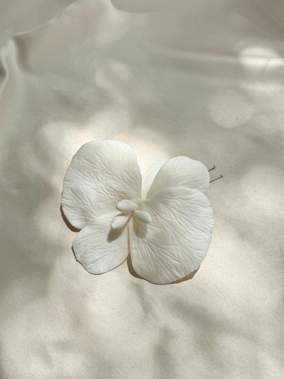 ORQUIDEA GRANDE