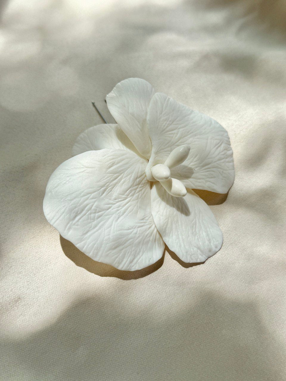 ORQUIDEA GRANDE