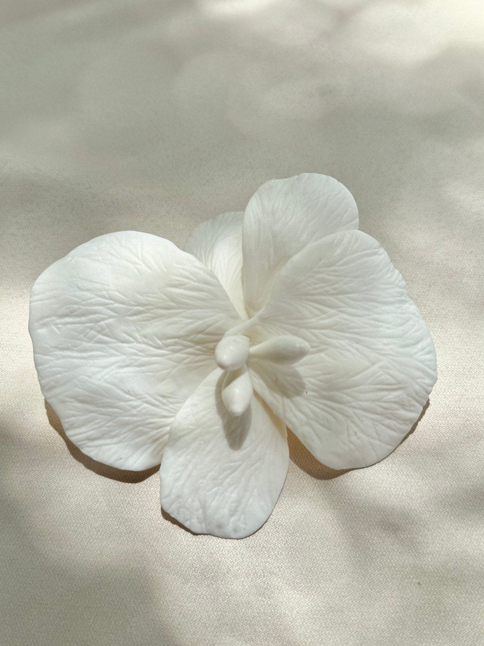 ORQUIDEA GRANDE