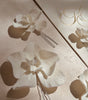 HORQUILLAS FARAH NATURAL SET DE 6