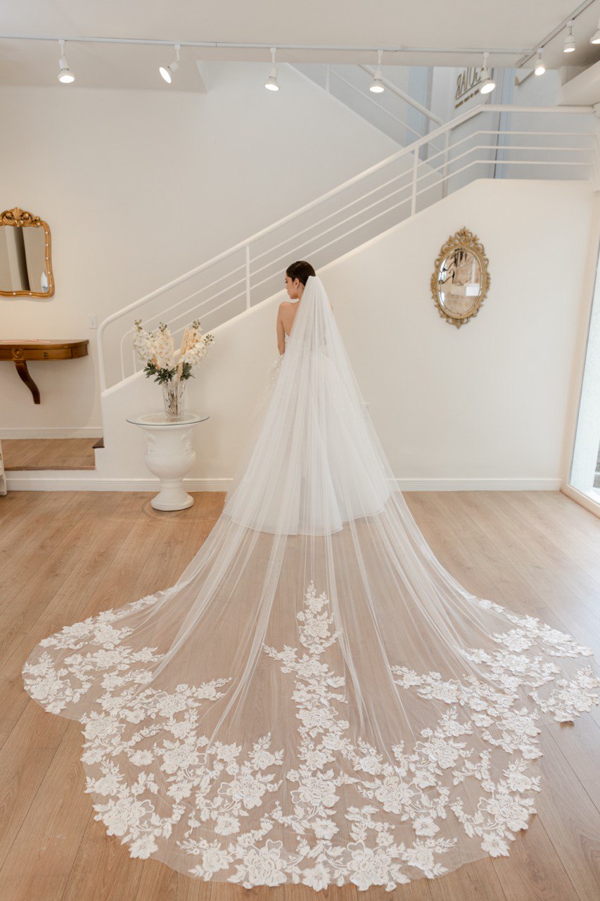 Velo Vestidos De Novia Largos Elegantes VELO DF23002