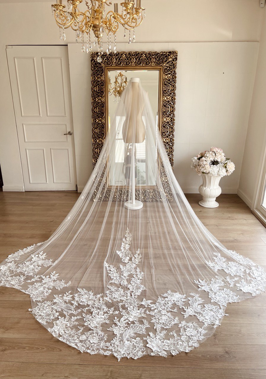 Novia Largos Velo Para Vestido Bordado Velos De Novia Tendencia